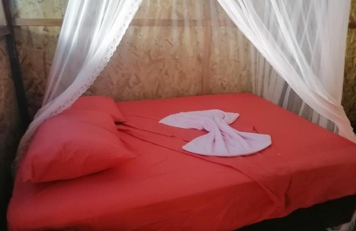 Iquitos Resort | Emerald forest expeditions and tours