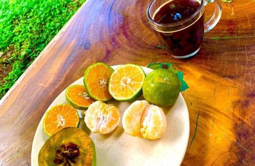 Tzucacab House | Encantadora Villa Maya tradicional en Rancho Agroecologico