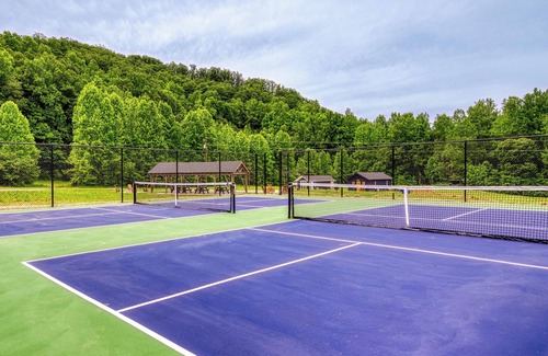 Cosby Cottage | Enchanted Bungalow, Blue Moon, Pickleball Court, Mountain Views, Starting at $69