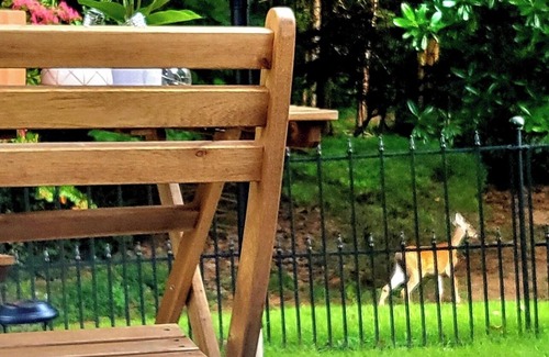 Buford House | Enchantress Lake Cottage - KING BED/SLEEPS 10