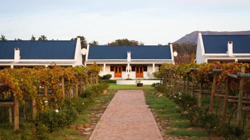 Bot River House | Endless Vineyards at Wildekrans Wine Estate