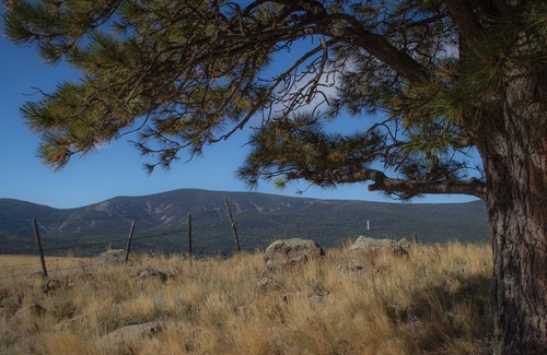 Angel Fire House | Enjoy a Get-A-Way @This cozy cabin in Black Lake NM!
