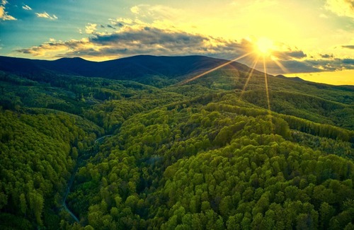 Quad Cities House | Enjoy free airport transfers to and from our room in Moline