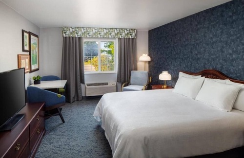 Galena Hotel | Enjoy Irish-Inspired Comfort at Cozy Room in Galena