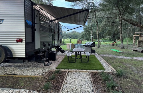 Webster House | Enjoy nature and spend some time with yourself surrounded by beautiful animals.