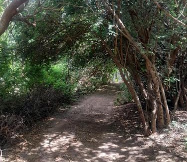 San Marcos Sierra House | ENRAMADA Hospedaje en San Marcos Sierras