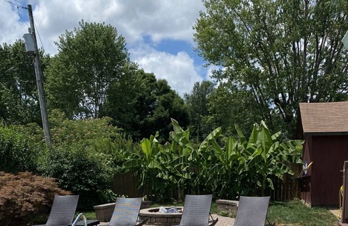 Bowling Green House | Entire House with Inground Pool and Backyard Oasis