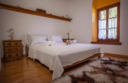 Makrynitsa Villa | Eremia Rustic House - Entire Villa in Pelion