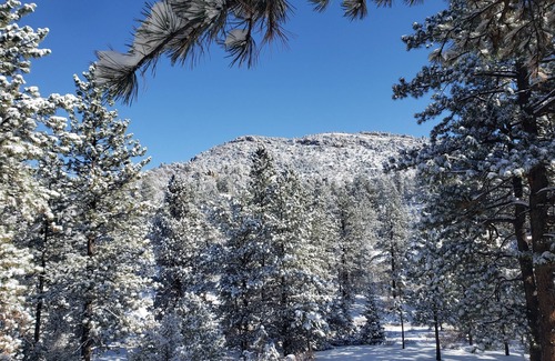 Howard Cabin | Escape to cozy Cotopaxi cabin, just a quick drive away from Arkansas River