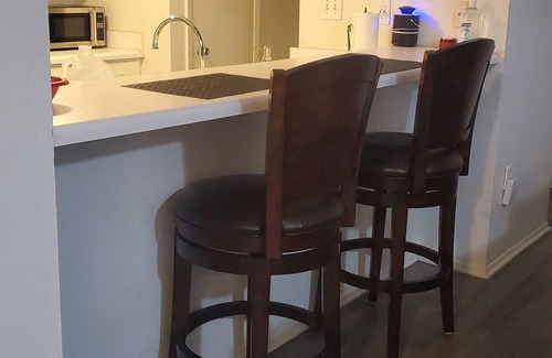 Bayview Condo | ESCAPE TO PARADISE St Petersburg Condo 💕 ideal for vacation or work from home