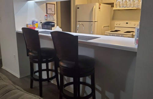 Bayview Condo | ESCAPE TO PARADISE St Petersburg Condo 💕 ideal for vacation or work from home