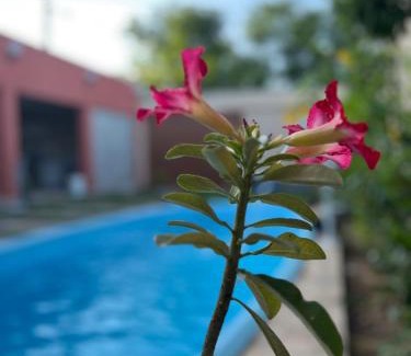 Juazeiro do Norte House | Espaço para lazer Nova Primavera