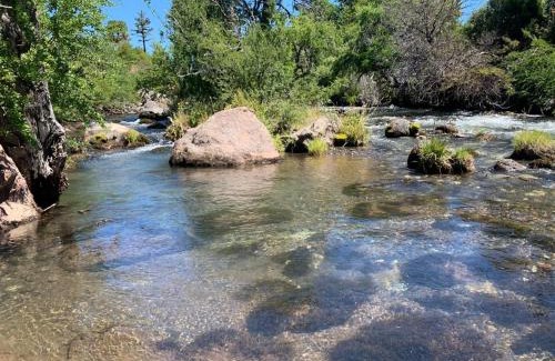 Junin de los Andes Cabin | Estancia los Helechos
