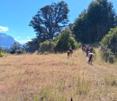 Junin de los Andes Cabin | Estancia los Helechos