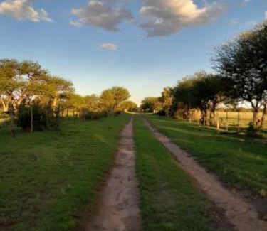 Luan Toro Apartment | Estancia San Carlos