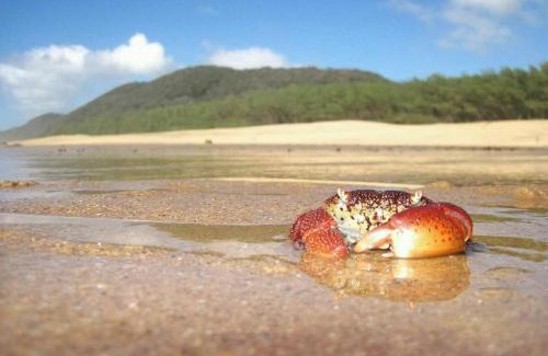 St. Lucia Apartment | Estuary Views at 6 The Bridge