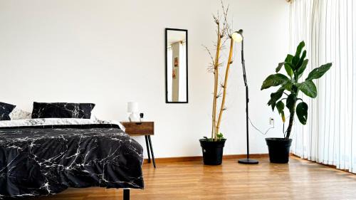 Tulancingo Apartment | Estudio Centrico KING SIZE Wifi