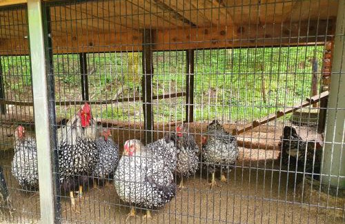 Sumece Apartment | Etno selo BISTROVO