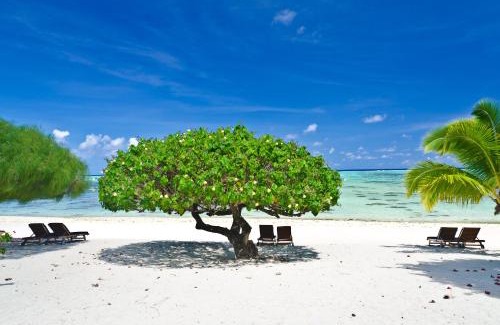 Aitutaki Villa | Etu Moana Boutique Beach Villas - Adults Only