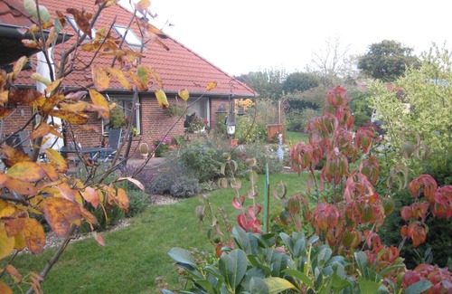 Tarp House | Eulennest