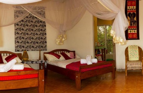 Kasese Hotel | Euphorbia Safari Lodge