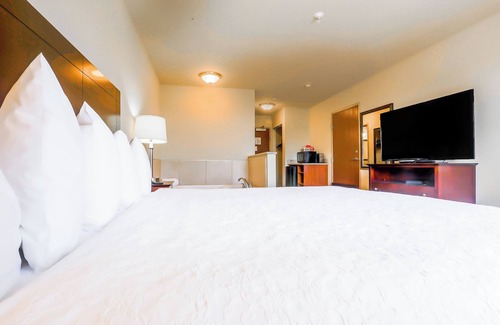 Evansville Hotel | Evansville Inn & Suites By OYO