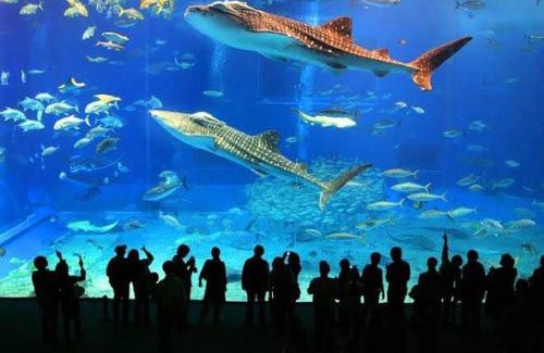 Maracana House | "Excelente Casa Pé na Areia com Opção de Piscina Aquecida Cobrado á Parte, Ampla Área de Lazer, Deck Coberto com Churrasqueira e Cooktop, Cozinha Americana, Ampla Sala de Estar com Lindíssima Lareira, Smart TV 50", WI-FI e o Melhor fica Pertinho da Praia"