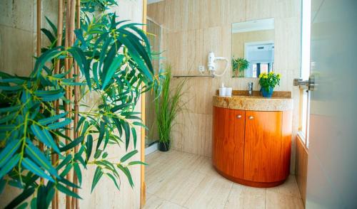 Ensanche Centro Apartment | Exclusive High-End Residence - Malaga Center