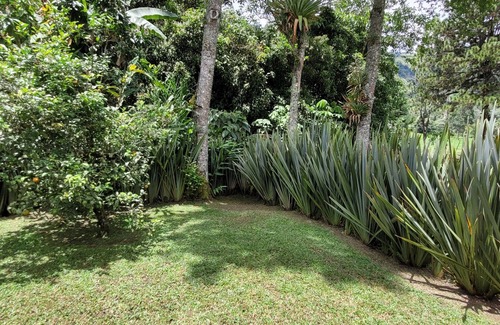 Salento Cabin | Exclusivo Cocora con jacuzzi salento