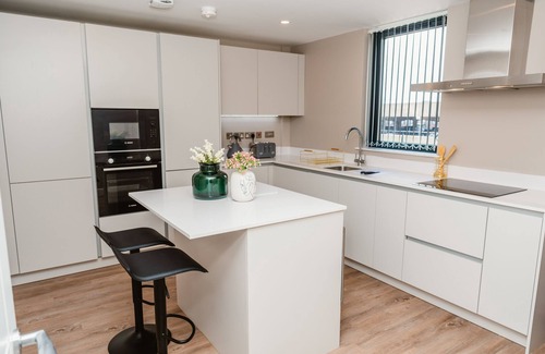 Hull Old Town Apartment | Executive Duplex Apartment Park view