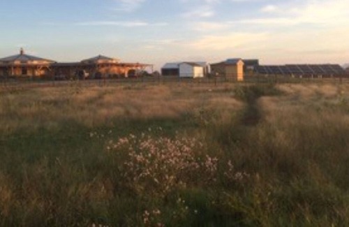 Mulhall House | Experience a cabin by the pool, at a straw-bale house, powered by solar panels.