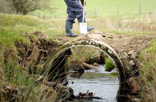 Skipton Apartment | Experience unique wellbeing and nature-based activities on a 3000-acre Sanctuary