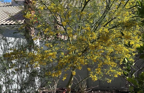 Canyon Gate House | Experience Vegas like a local! Cozy 2-bedroom townhome 25 mins from LV Strip