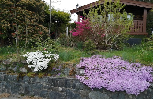Bronaber Cabin | Eyri (Snowdonia) National Park self contained Norwegian Log Cabin