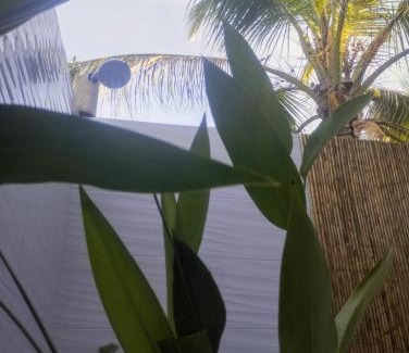 San Bernardo del Viento Cabin | Eywa Lodge