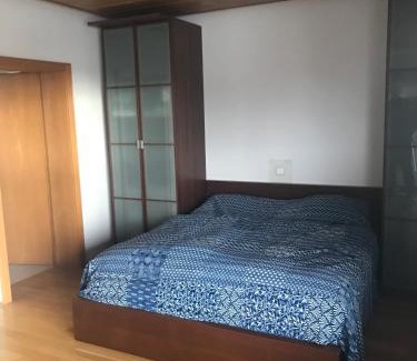 Ober-Ramstadt Apartment | Für Pendler und Monteure oder Ferienwohnung zum Erholen