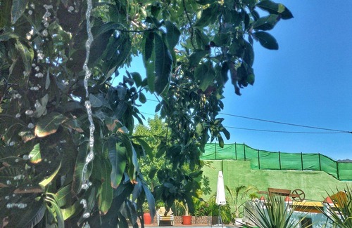 La Aldea de San Nicolas House | F&C - Tranquilidad en mar y Montaña