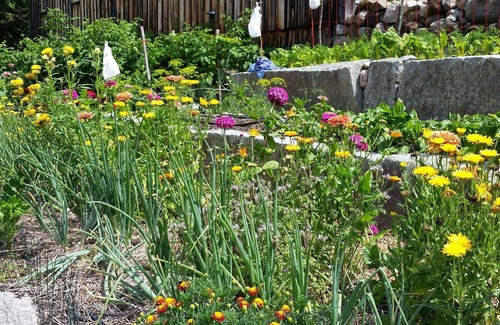 Hopkinton Apartment | Fabulous, restful, studio with AC in charming Hopkinton