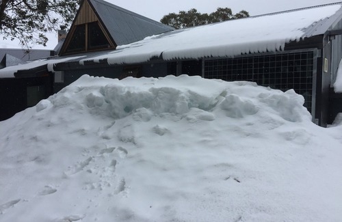 Falls Creek Apartment | Falls Creek Schusski Winter - Genuine ski in ski out
