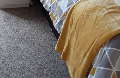 Birdwell House | Family together or contractors hide out