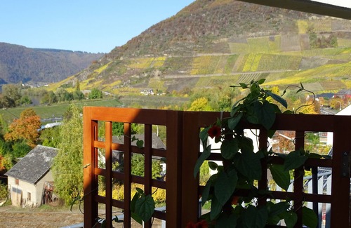 Senheim Apartment | Fantastic Mosel view from the apartment "Pinot Noir Cabinet", near Cochem