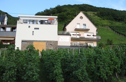 Senheim Apartment | Fantastic Mosel view from the apartment "Pinot Noir Cabinet", near Cochem