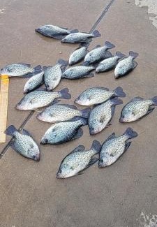 Lakeland Apartment | Fantastic View , Pools, Tennis, and Relaxing