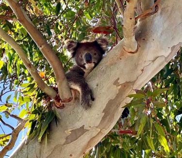 Emu Bay House | Fareview Beach House