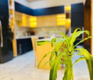 Luxor Hotel | Farida Habu Palace Hotel luxor