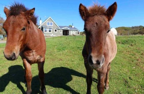 Tsurui House | Farm Inn Torch B - Vacation STAY 92724v