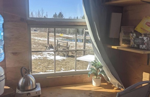 Dedham Cabin | Farmstay in a tiny shack with view on horse & goat pasture
