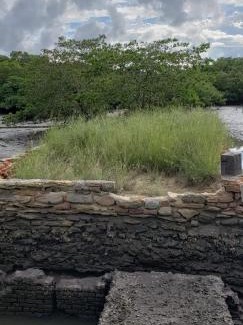 Ilha de Itamaraca House | FAZENDA BOSQUE DAs PALMEIRAS