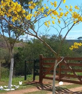 Sarutaia House | Fazenda com Trilhas e Açude -Refúgio Meio Mata Atlântica