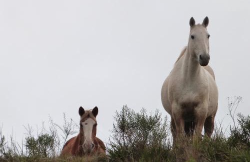 Bom Jardim da Serra House | Fazenda Invernada Grande Turismo Rural